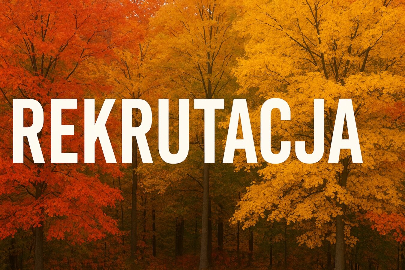 Startuje rekrutacja