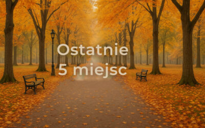 Zostało 5 wolnych miejsc